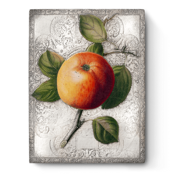 T516_Perfection_Pre-