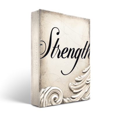 T 550 Strength Sid Dickens Memory Block