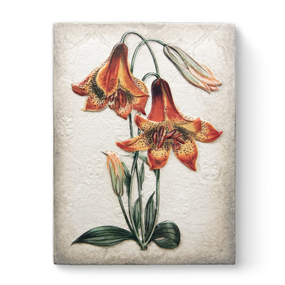 T 551 Tiger Lilies Sid Dickens Memory Block