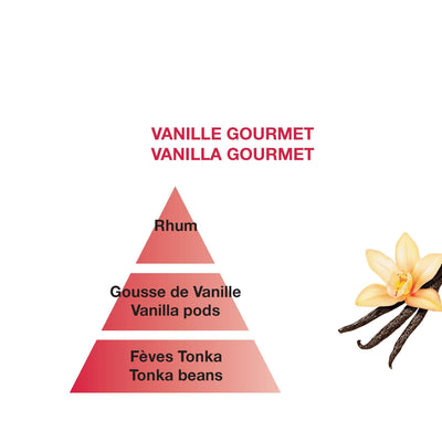 Vanilla Gourmet - Car Diffuser Refills