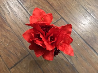 Amaryllis Cluster with Berries
