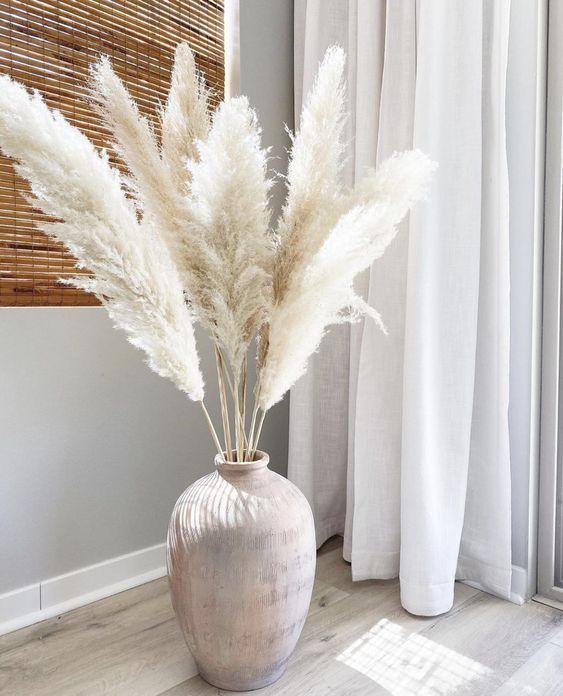 Pampas Grass White